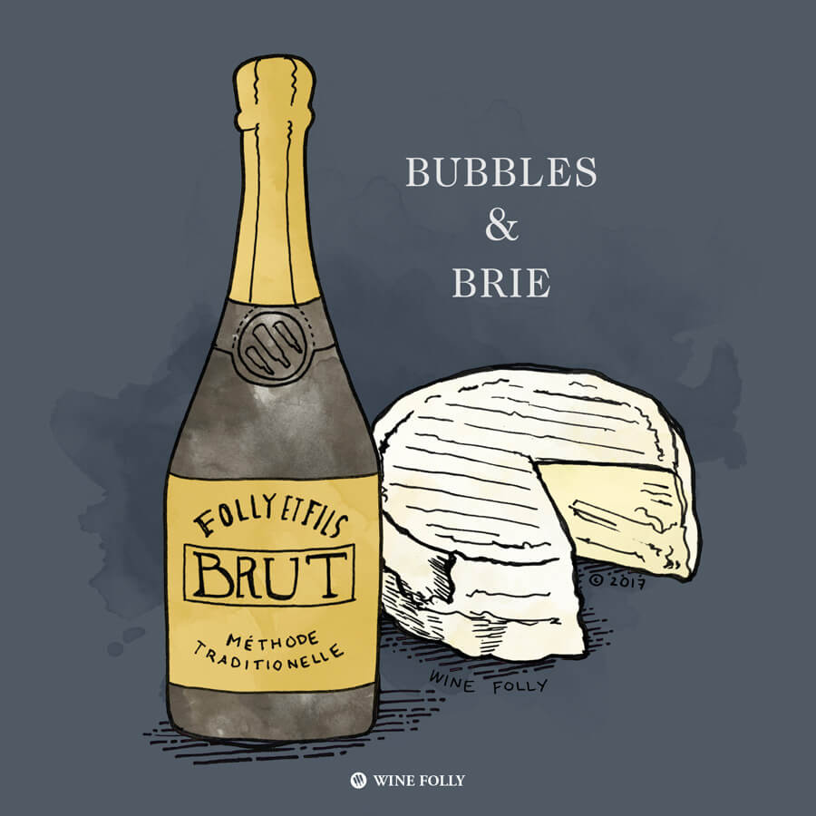 champagne-brie-cheese-pairing-illustration