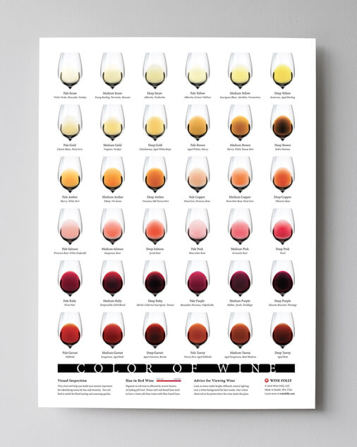 The Secrets of Wine Color