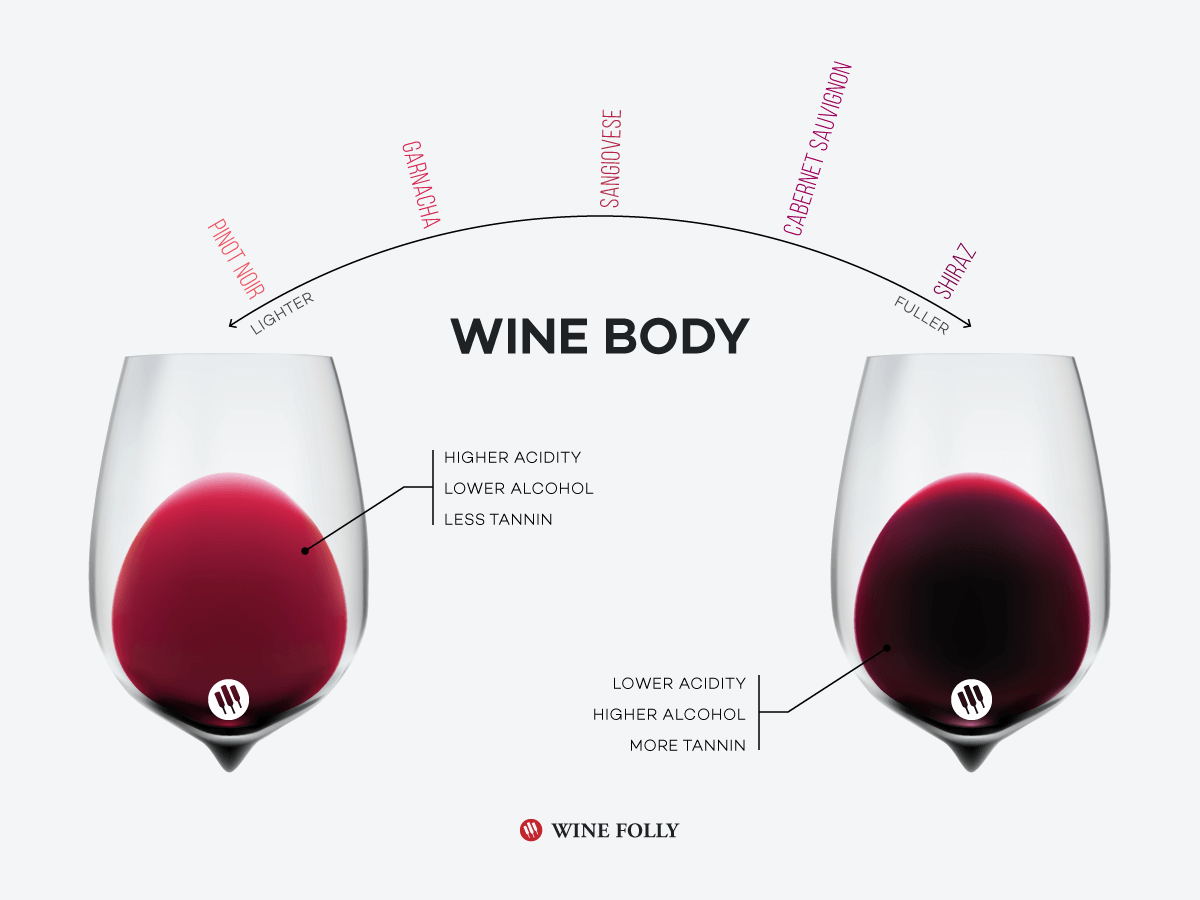 What Is Wine Body And How To Taste It D Vino