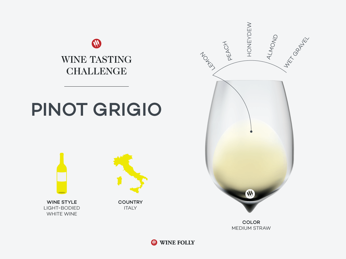 Tasting Challenge: Italian Pinot Grigio | D-Vino